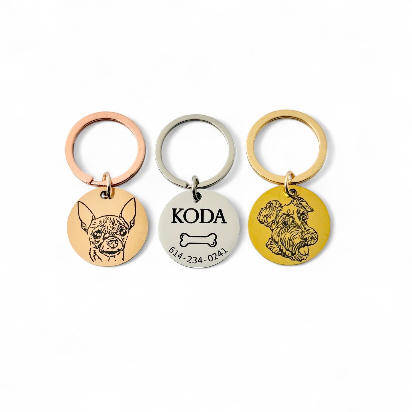 Placas para tus mascotas con su imagen - Circular.