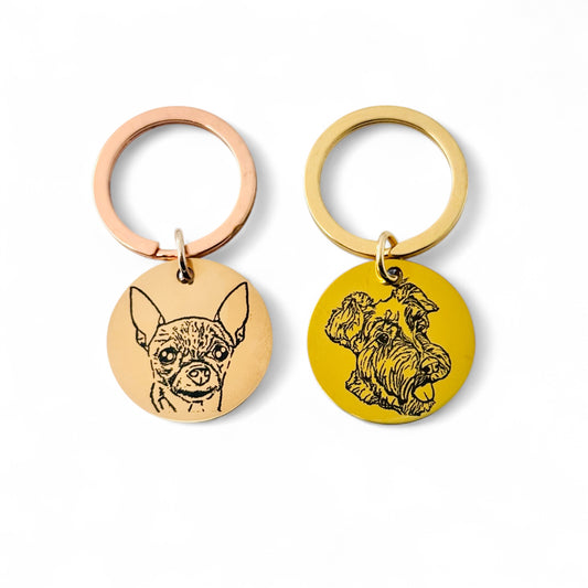 Placas para tus mascotas con su imagen - Circular.